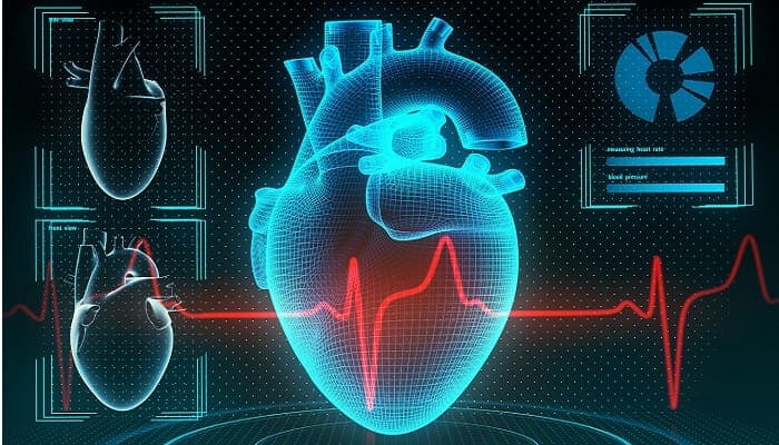 Heart Rate Prediction System