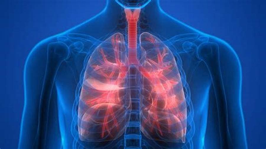 Pneumonia Detection System